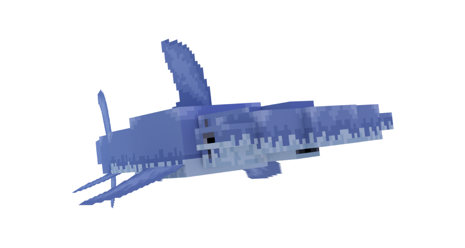 hammerShark