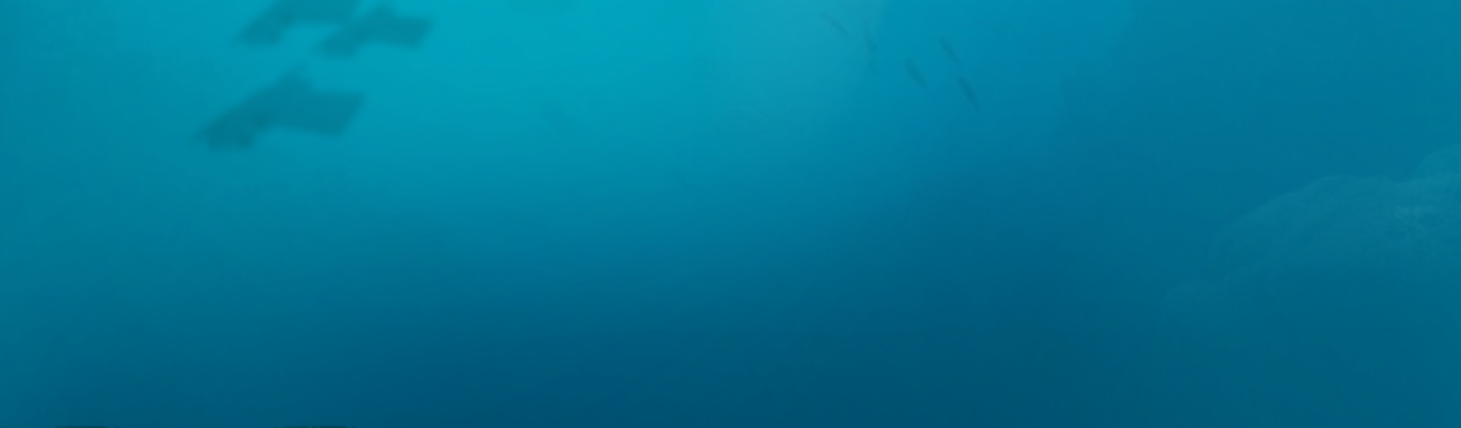 OceanKit